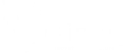 VizRQ