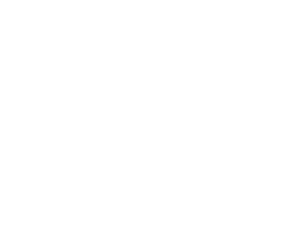 logo vizrq6 copy2