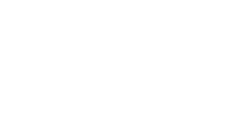 logo vizrq